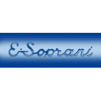 New E. Soprani Piano Accordions